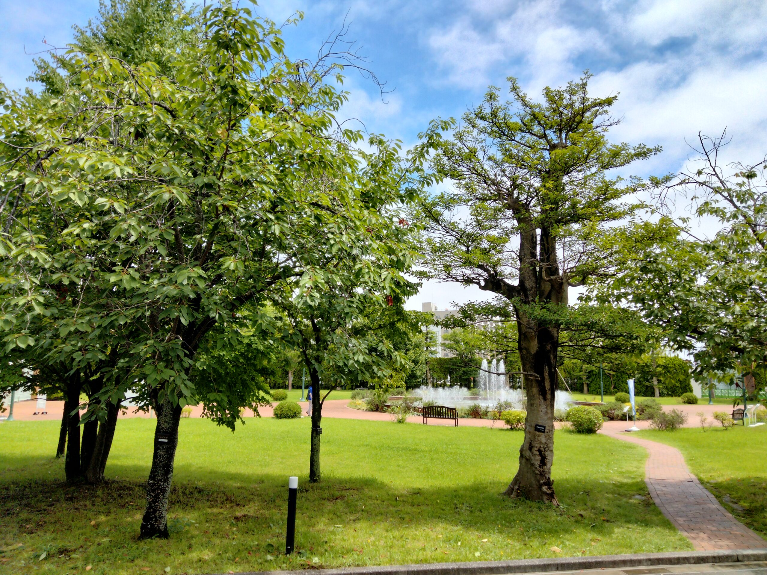 大学オープンキャンパス