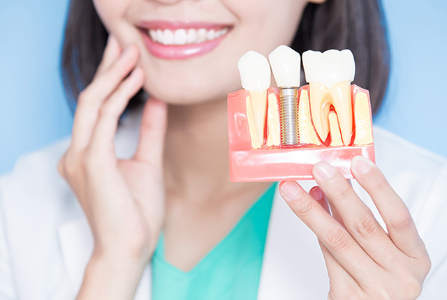 インプラントの模型を手にもつ医師