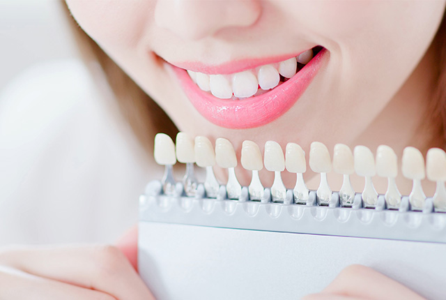 歯の色を模型で確認する女性の口元
