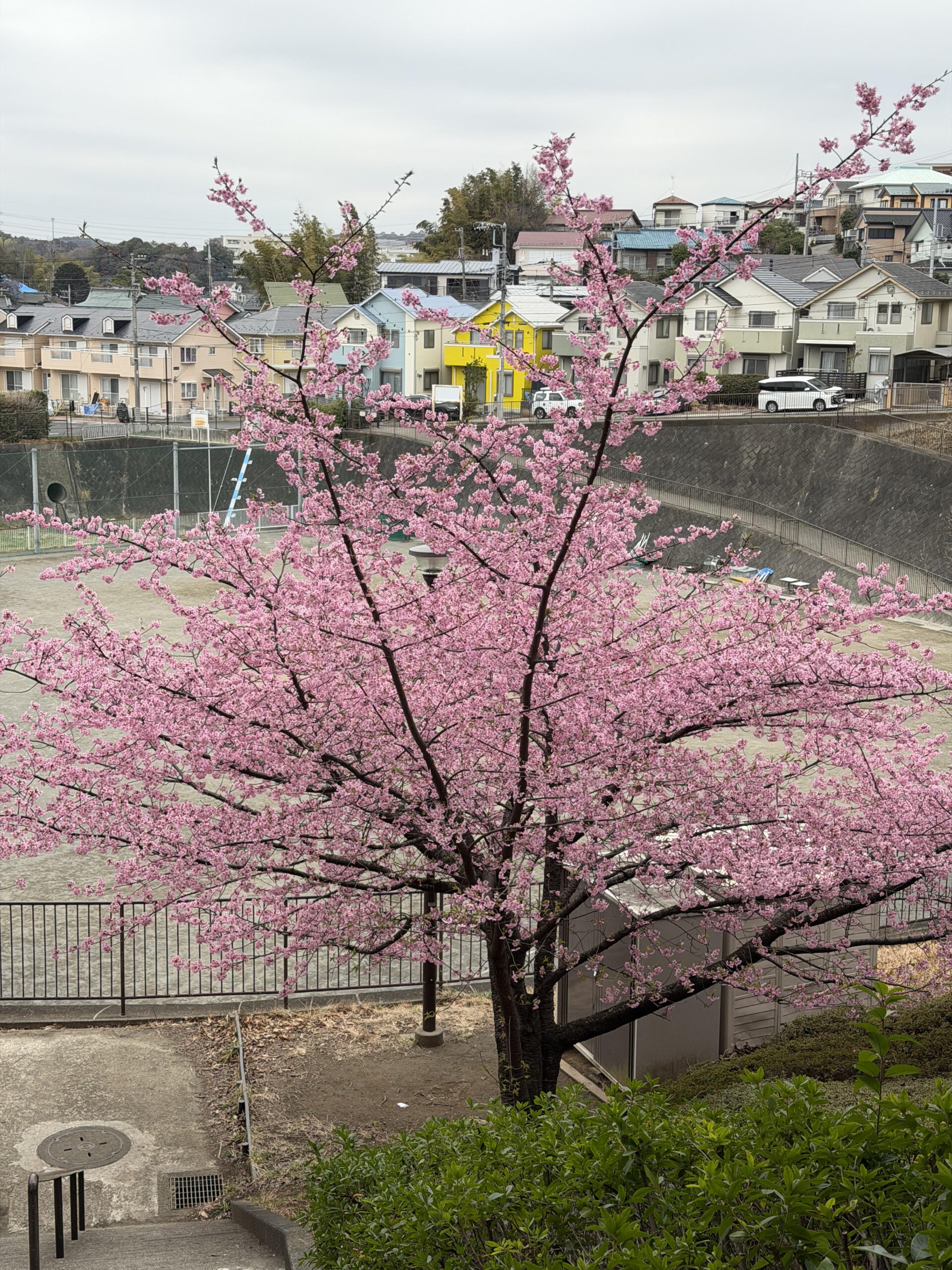 卒業式シーズン